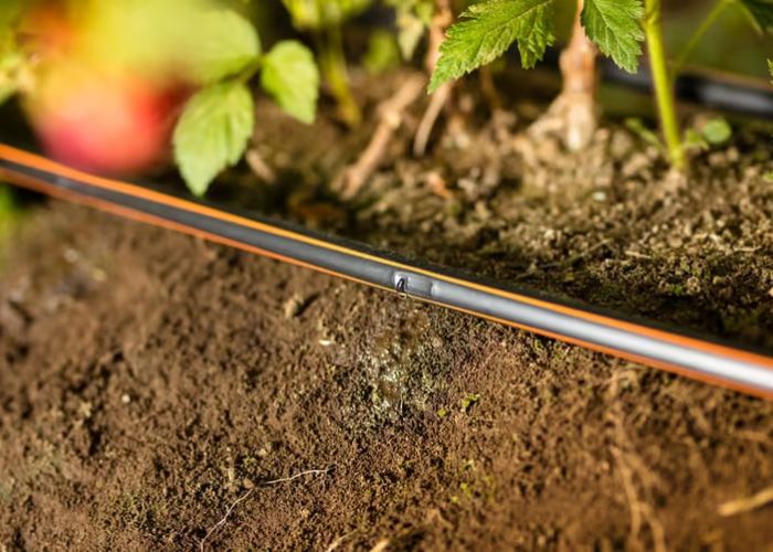 What Are the Benefits of Netafim Drip Irrigation Systems for Gardens?