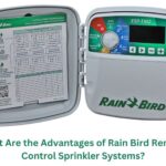 What Are the Advantages of Rain Bird Remote Control Sprinkler Systems